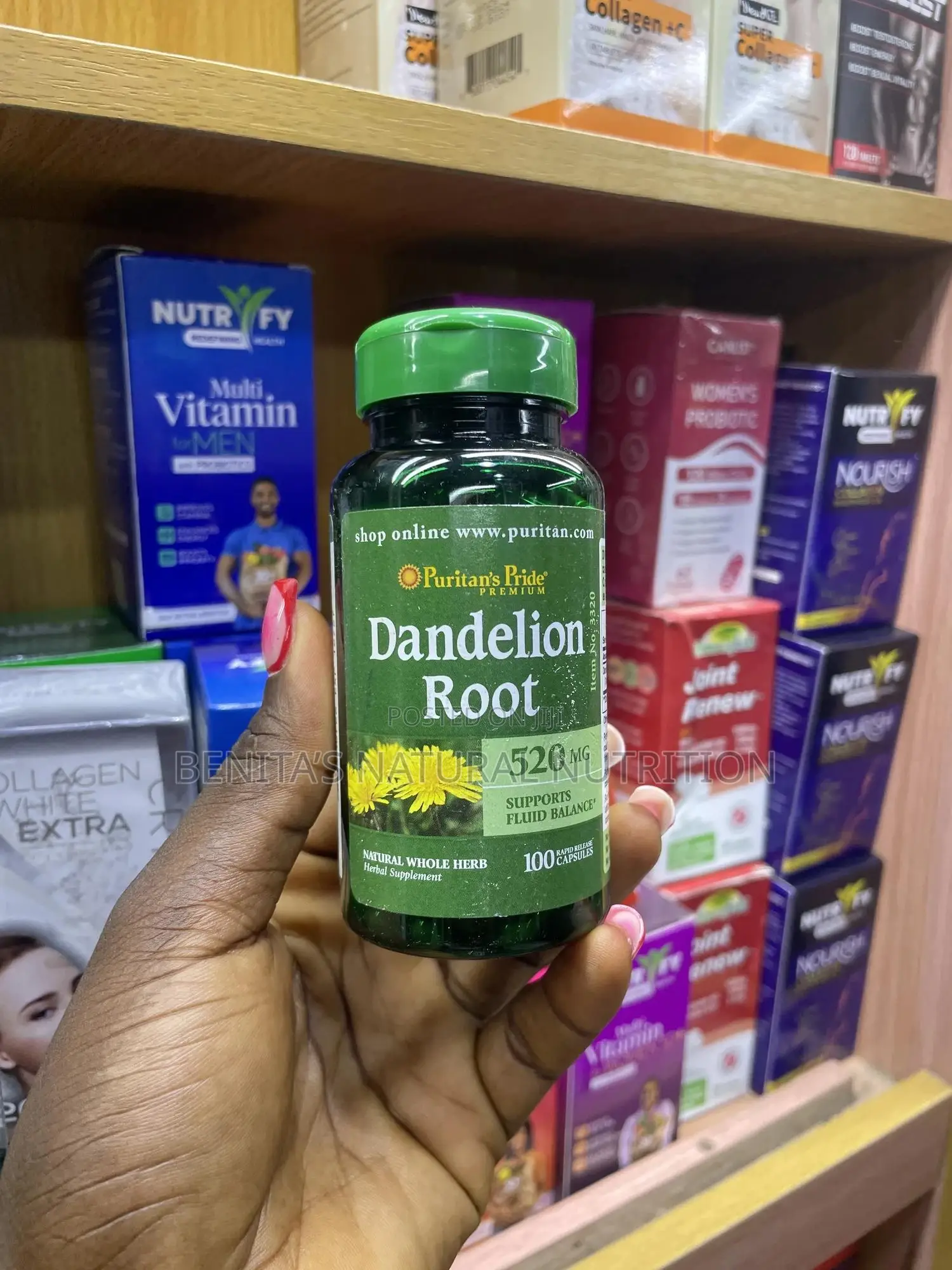 Dandelion Root