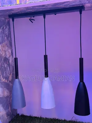 Incandescent Fancy Pendant Light