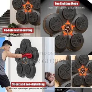 Home Gym Equipment That Hits Back : Smart Music Boxing Trainer