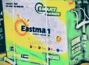 Original Brand New 200a Eastman Tall Tubular Battery