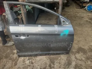 Front Right Door Elantra 2017