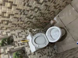 Professional Toilet Cleaning /Post-Cleaning