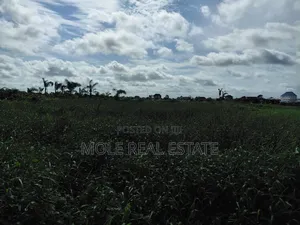 60ft by 120ft (Full Plot ) Sale/Lease Baptist Ijegemo