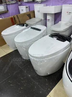 Intelligent Water Closet