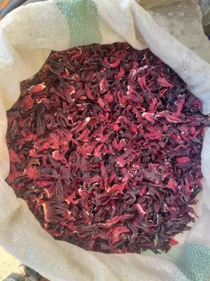 Hibiscus Flowers for Sale in Large Quantities