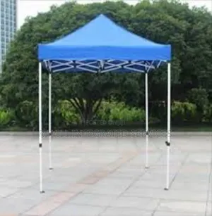 10 by 10 Feet Mosquito Net Canopy