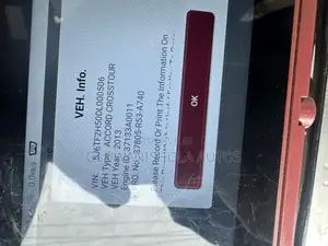 Best Car Inspector in Lagos With a Big Scanning Tool
