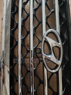 Front Grille Hyundai Tucson 2020 Camera Type
