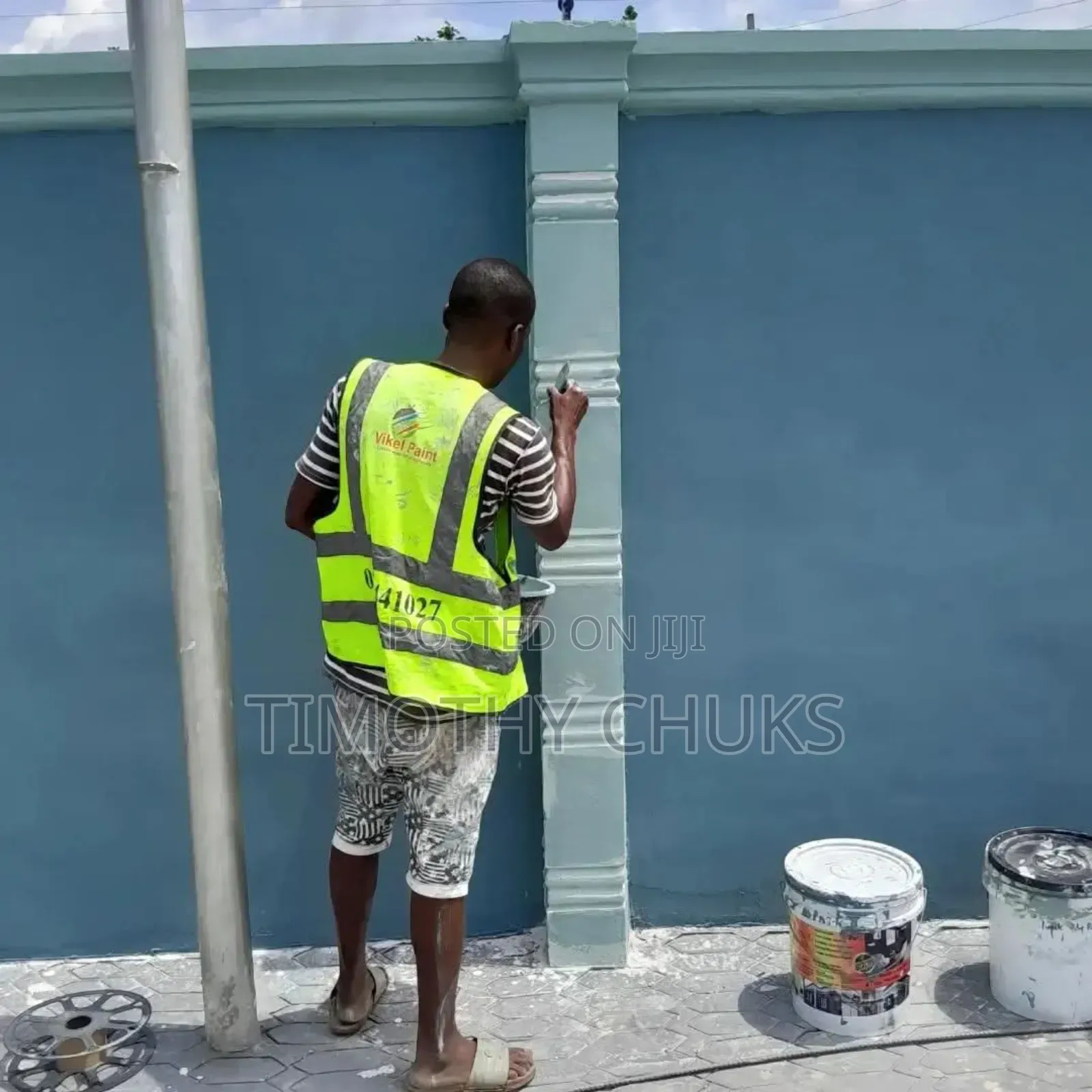 Toluu Painter