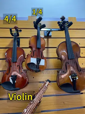 Professional Violin Price Is 70,000