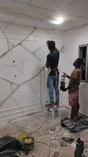 Toluu Painter