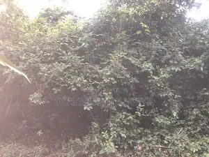 Good Farmland for Different Type of Agriculture
