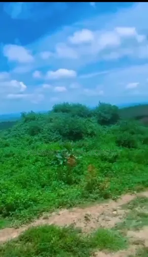 Land Estate Plot for Sale Sizes: 250, 500, 350 SQM at Guzape 2 Abuja