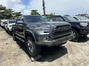 Toyota Tacoma 2019 Gray