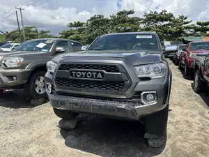 Toyota Tacoma 2019 Gray