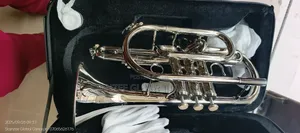 Quality Premier Sanjin Cornet Silver