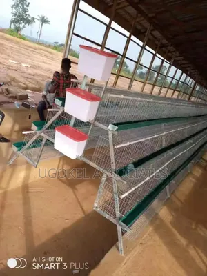 Bettery Cage for Layers