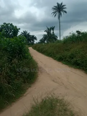 200 Plots of Land for Sells, in Odagwa Etche Rivers Ph