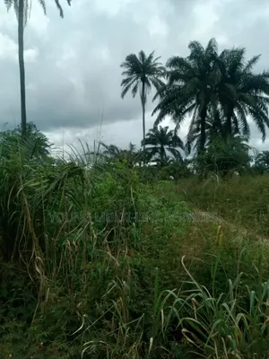 24 Plots of Land for Sale in Odagwa Etche Rivers Ph