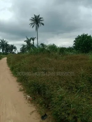 24 Plots of Land for Sale in Odagwa Etche Rivers Ph