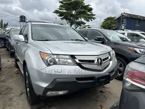 Acura MDX 2009 Silver