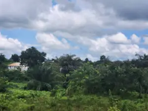 12 Plots of Residential Land