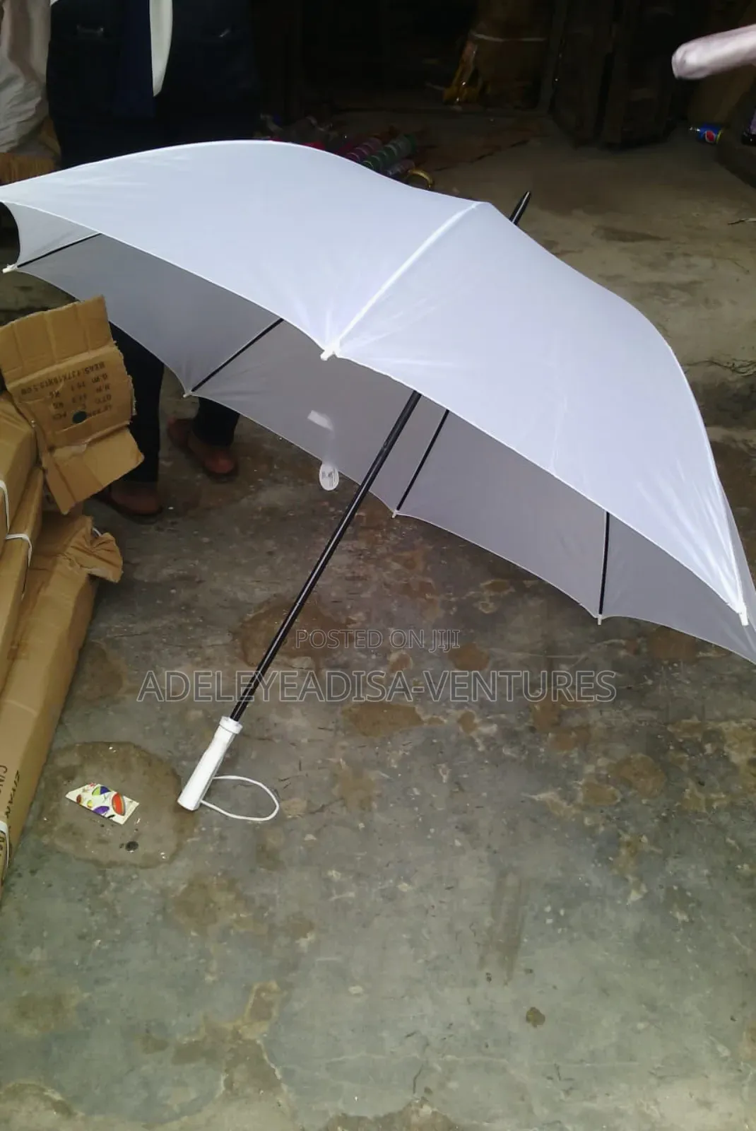 Umbrella Medium Size