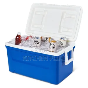 Buy Igloo 48 Quart Ice Chest Cooler 『 45 Litre 』