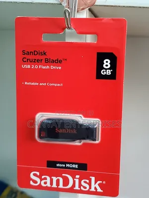 Sandisk Flash Drive