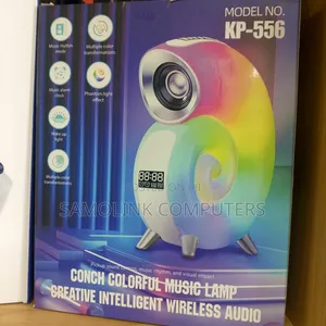 Conch Colourful Music Lamp