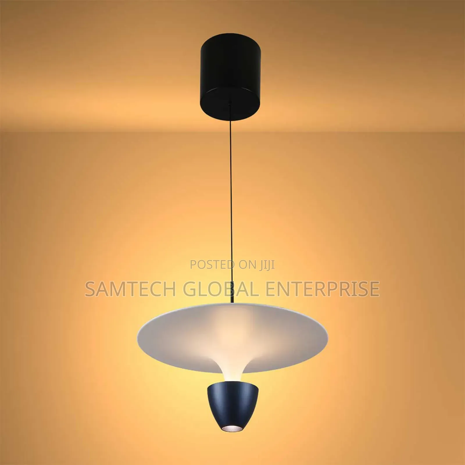 Interior Pendant Light