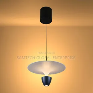 Interior Pendant Light
