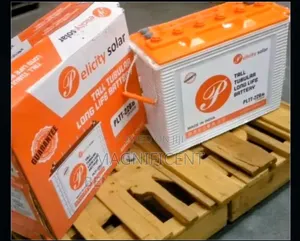 220a Fecility Tubular Battery