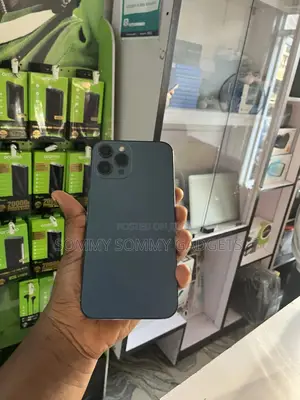 Apple iPhone 12 Pro Max 256 GB Blue