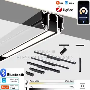 Modern Magnetic Track Lighting System and It Accessories for Indoor
