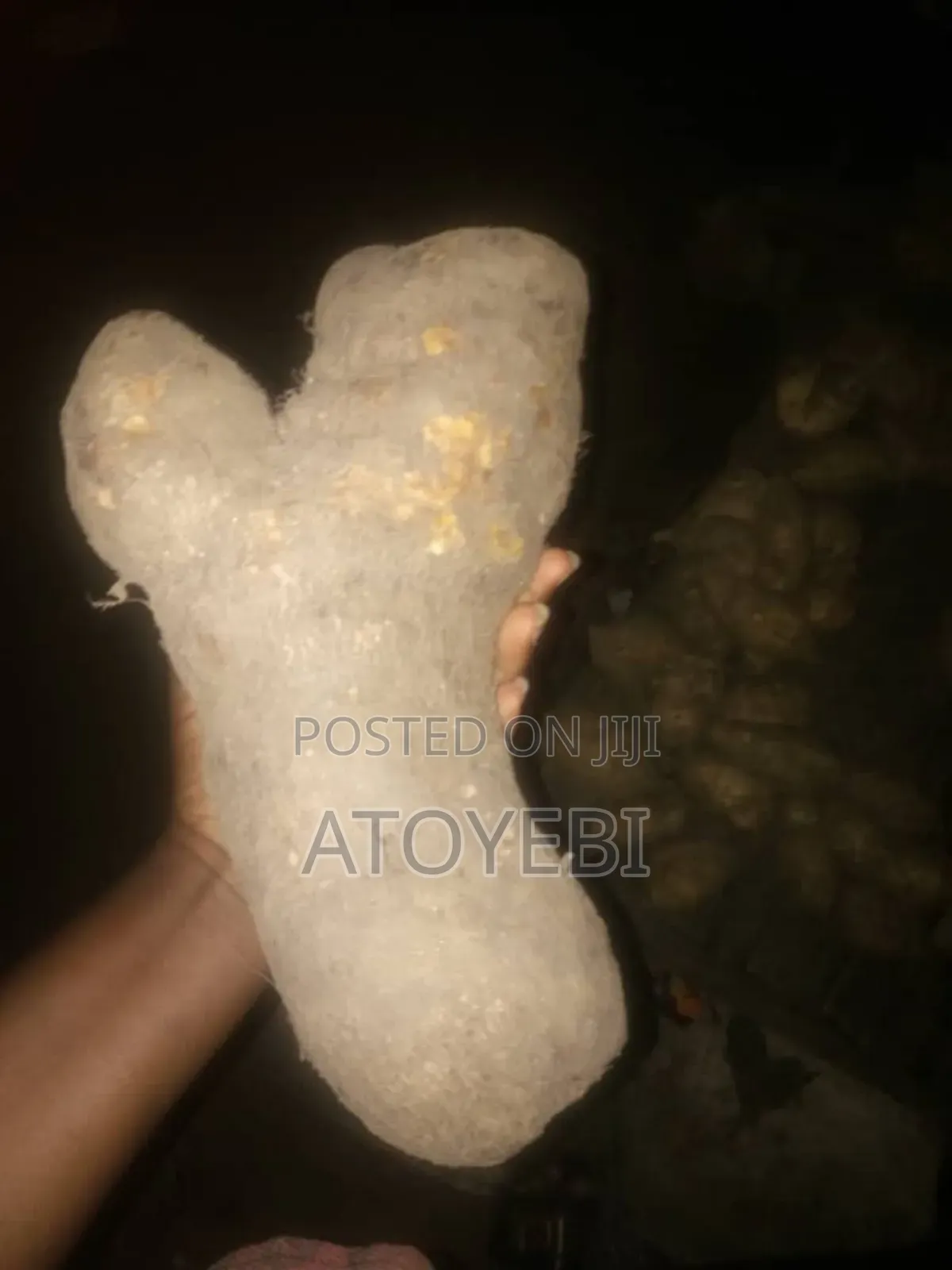 Buy Your Sweet Orem Yam