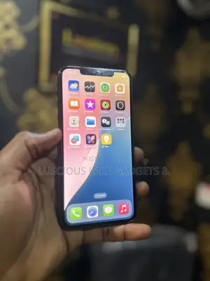 Apple iPhone 11 Pro Max 256 GB Gray
