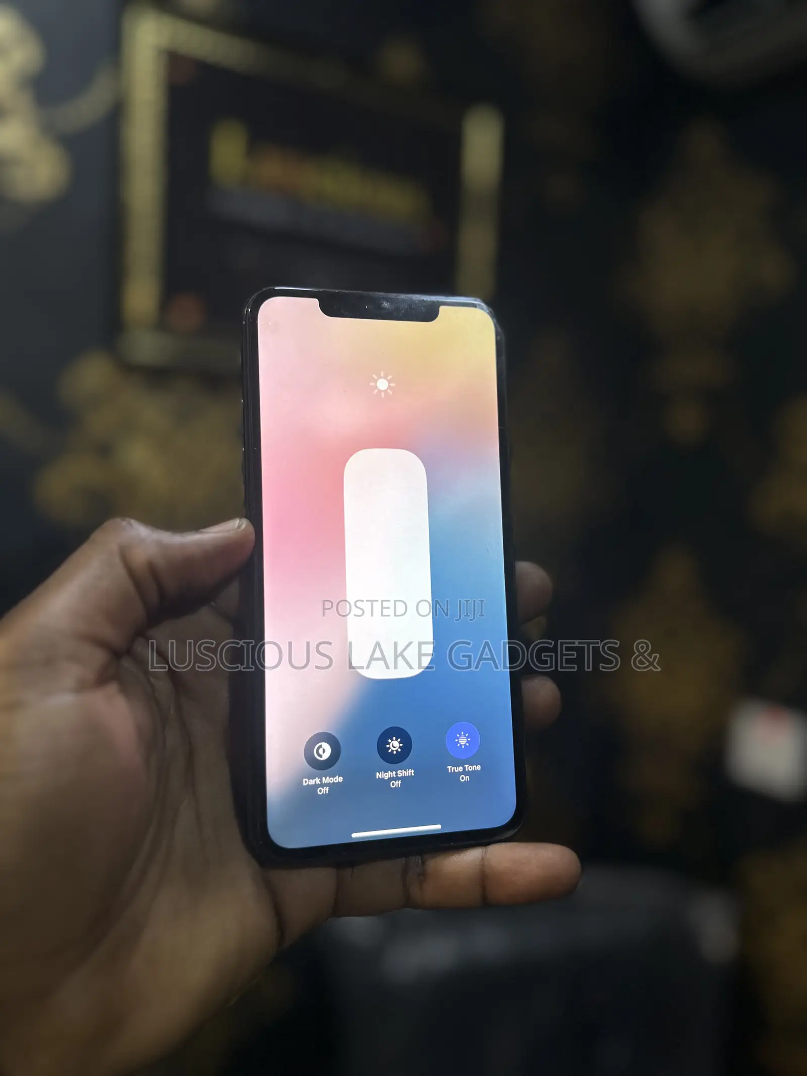 Apple iPhone 11 Pro Max 256 GB Gray