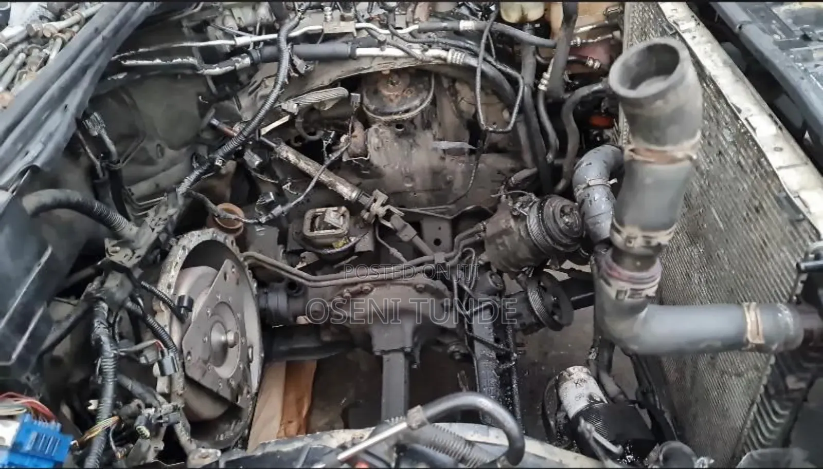 Auto Mechanic