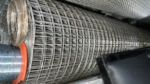 Rolls of Galvanized Welded Wire Mesh,