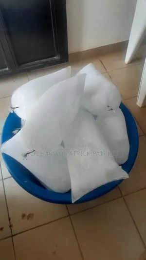 Bulk Ice Big Block