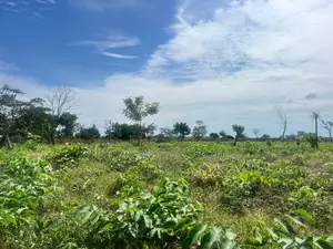 Land for Sale at Kobape 300 Acres in a Well Developed Neighborhood