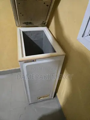 Original Uk Nofrost Freezer