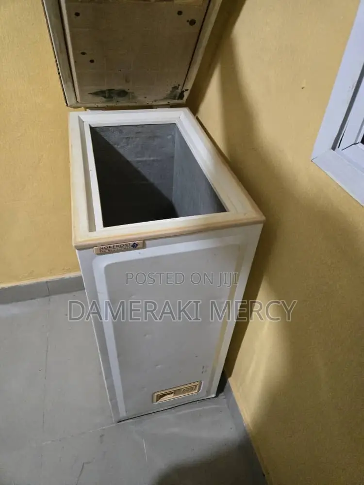 Original Uk Nofrost Freezer