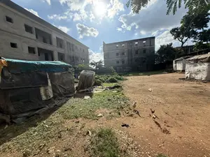 Certificate of Occupancy
