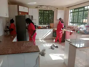 Healthcare Mode Cleaning