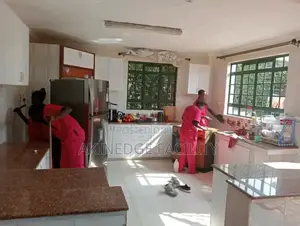 Healthcare Mode Cleaning