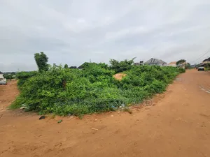 50fr by 100ft Land for Sale at Amagba