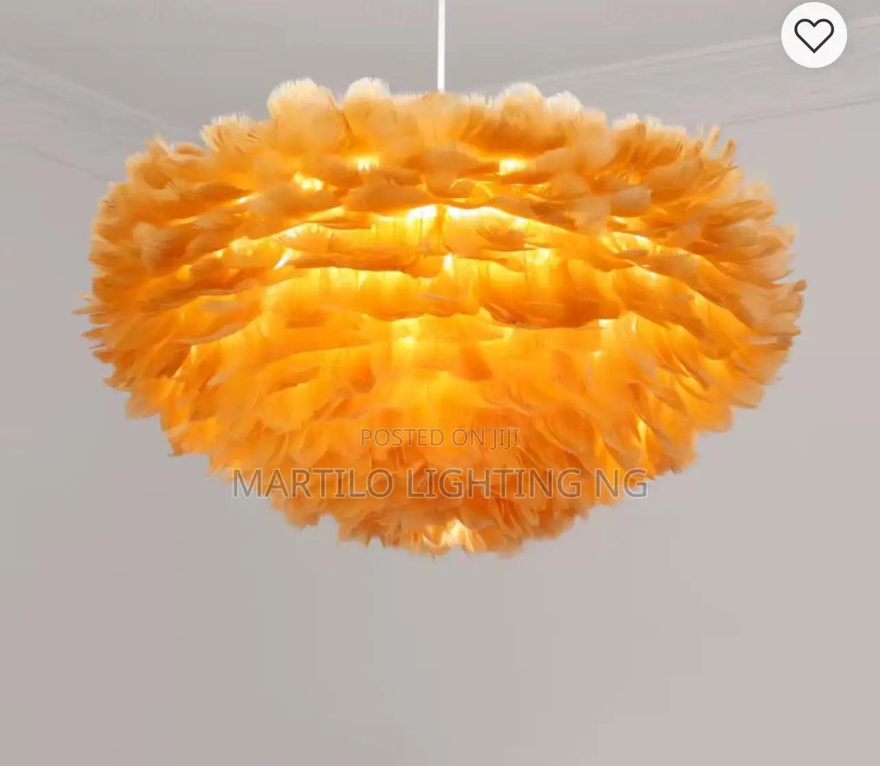 Beautiful Feathers Unique Drop Light for Living, Bedroom