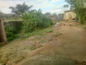 Land Property